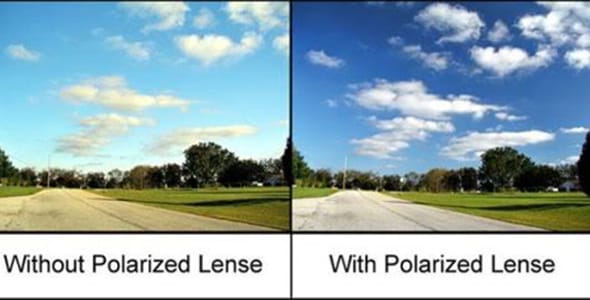 perbedaan polarized